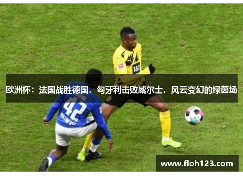 欧洲杯：法国战胜德国，匈牙利击败威尔士，风云变幻的绿茵场