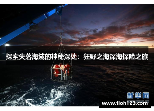 探索失落海域的神秘深处：狂野之海深海探险之旅