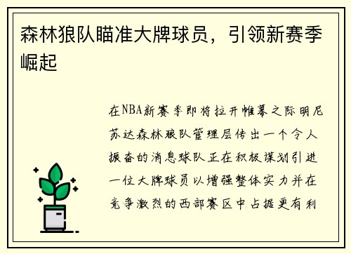 森林狼队瞄准大牌球员，引领新赛季崛起